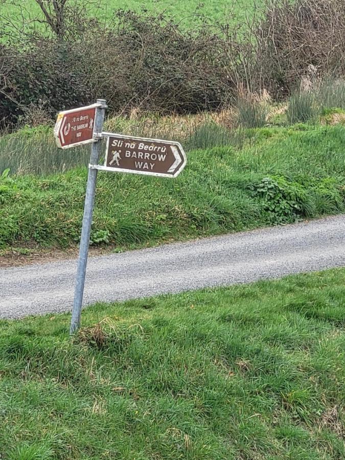 Fearmore View Kildare Eksteriør bilde